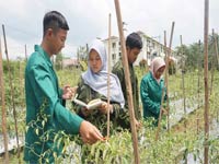 Businessman College Manado Nomor 10